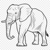 Safari Animal Drawing In PNG File Format For Free Download