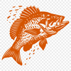 Stunning Fish In SVG, PNG, PDF And DXF File Formats - Free