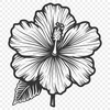 Floral Laser Engraver Artwork