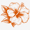 Stunning Flower In PNG Format - Free Download