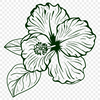 Creative Hibiscus In PNG - For Free Download, Commercial Use