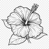 Unique Flower PNGs - Free Download