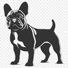 Standing French Bulldog Digital Art