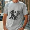 Stunning Labrador Retriever - Animal PNG Free Download