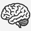 Unique Brain In PNG Format - Free Download