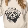 Creative Havanese - PDF Format