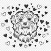 Beautiful Havanese Drawing - Free SVG Download