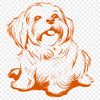 Stunning Sitting Havanese Decal