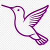 Free Hummingbird In PDF - Free Download