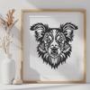 Ornate Australian Shepherd Vector Image