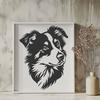 Creative Australian Shepherd In SVG - Free Download