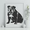 Beautiful Bulldog In SVG, PNG, PDF And DXF File Formats - Free