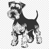 Miniature Schnauzer In SVG Format - Free Digital Download, Commercial Use