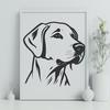 Beautiful Labrador Retriever In PDF & PNG