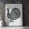 Beautiful Turkey - Animal PNG