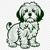 Havanese Vector Illustration In SVG, PNG, PDF And DXF Formats