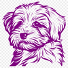 Havanese Vector Image In SVG, PNG, PDF And DXF File Formats