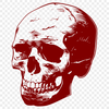 Stunning Skull - Laser SVG