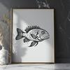 Unique Crappie Drawing - Free PNG