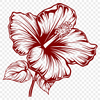 Stunning Hibiscus PNG - Free Commercial Use Download