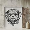 Stunning Havanese DXF