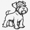 Free Stunning Miniature Schnauzer Drawing