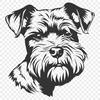 Free Creative Miniature Schnauzer Digital Art