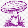 Free Unique Mushroom Illustration