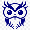 Creative Owl Image