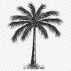 Unique Palm Tree Illustration PDF - Free Download