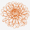 Free Flower SVG, PNG, PDF And DXF Files