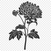 Free Chrysanthemum - DXF For Commercial Use