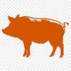 Free Beautiful Pig Digital Drawing