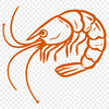 Stunning Prawn Vector Craft File - Free PDF Download