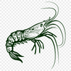 Creative Prawn DXFs - Free Download