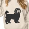 Beautiful Havanese PDFs - Free Download