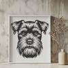 Artistic Miniature Schnauzer Image