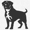 Rottweiler In PDF For Download, Free Commercial Use