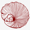 Free Stunning Seashell - Free DXF Download, Commercial Use