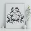 Creative Toad - Animal PNG