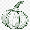 Squash PNG For Download - Free Commercial Use License