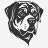 Rottweiler In PNG Format - Free Commercial Use License