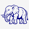 Free Elephant - For Animal Project