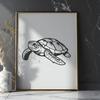 Free Sea Turtle - For Laser Project