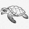 Free Sea Turtle PDF - For Procreate Project