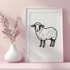 Beautiful Sheep - For Farm Animal Project