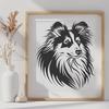 Beautiful Shetland Sheepdog In PNG - For Free Download, Commercial Use