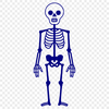 Standing Skeleton Template - Free SVG