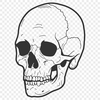 Unique Skull Vector Craft File