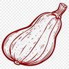 Stunning Squash - PDF For Commercial Use